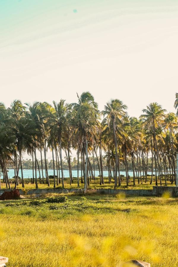 Casa Seriguela - Praia Do Patacho - Rota Ecologica Dos Milagres ปอร์โต เด เปดราส ภายนอก รูปภาพ