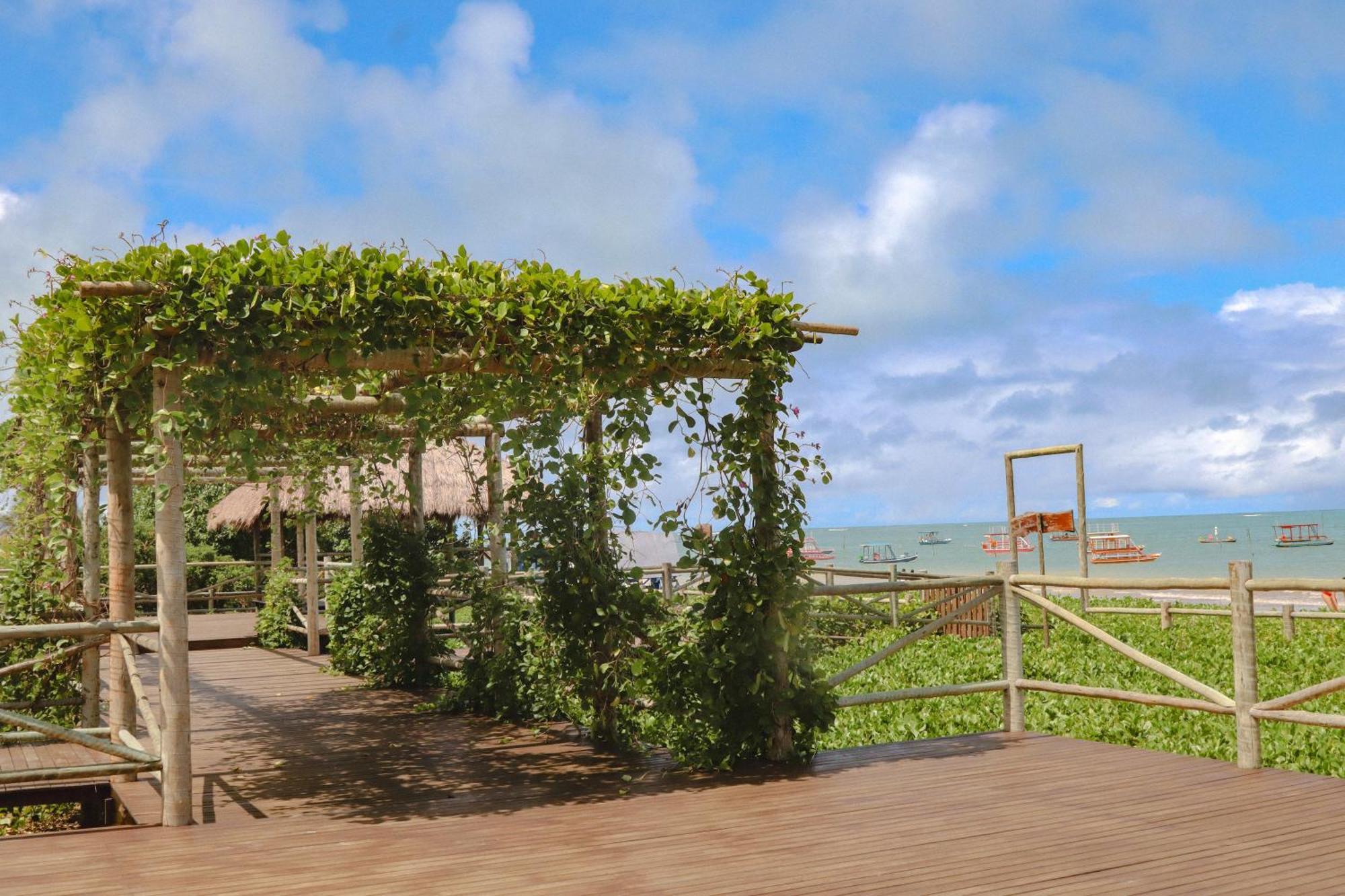 Casa Seriguela - Praia Do Patacho - Rota Ecologica Dos Milagres ปอร์โต เด เปดราส ภายนอก รูปภาพ