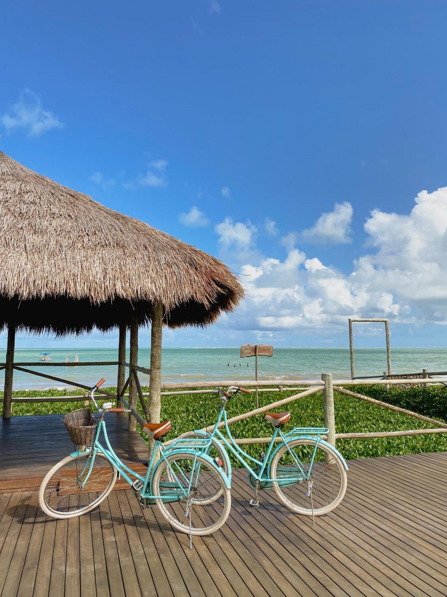 Casa Seriguela - Praia Do Patacho - Rota Ecologica Dos Milagres ปอร์โต เด เปดราส ภายนอก รูปภาพ